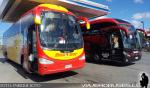 Bus-Sur / Región de Magallanes