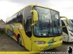 Buses Naduam - Punta Arenas
