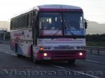 Busscar El Buss 340 / Volvo B58E / Pullman Bus Golondrina