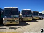 Unidades Busscar El Buss 340 / Scania K124IB / TACC Vía Choapa