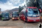Unidades Marcopolo / Buses Intercomunal