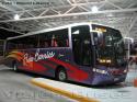 Busscar Vissta Buss LO / Scania K340 / Flota Barrios