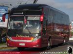 Neobus New Road N10 360 / Mercedes Benz O-500RS / Buses Palacios