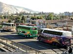 Unidades Expreso Norte - Palmira - Condor Bus / Ruta 5 Norte