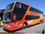 Modasa New Zeus II / Volvo B11R / Pullman Bus