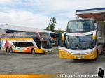 Queilen Bus / Taller Llau Llao - Castro