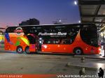 Youngman JPN6137S / MT Bus