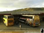 Queilen Bus - ETM / Terminal de Ancud - X Región