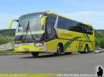 King Lonf XMQ6130Y / Interbus