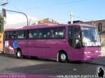 Busscar El Buss 340 / HVR Detroir / Tepual
