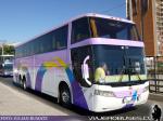 Busscar Jum Buss 400 / Scania K113 / Tepual