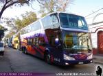Modasa New Zeus II / Mercedes Benz - Volvo - Scania / Condor Bus - Bus Norte - Thaebus