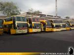 Flota de Buses Jac