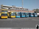 Flota de Buses Jac