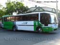 Busscar El Buss 320 / Mercedes Benz OF-1318 / Especial Buses Madrid