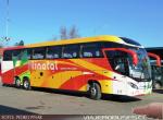 Mascarello Roma 370 / Scania K410 / BioLinatal