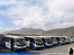 Flota de Buses Linea 110 - Antofagasta